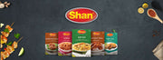 Shan