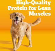 Pedigree Complete Nutrition Grilled Steak & Vegetable Flavor Dog Kibble Adult Dry Dog Food, 40-lb bag