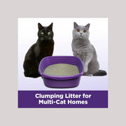 Arm & Hammer Litter Slide Multi-Cat Scented Clumping Clay Cat Litter, 14-lb box