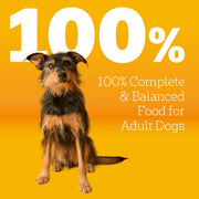 Pedigree Complete Nutrition Grilled Steak & Vegetable Flavor Dog Kibble Adult Dry Dog Food, 40-lb bag